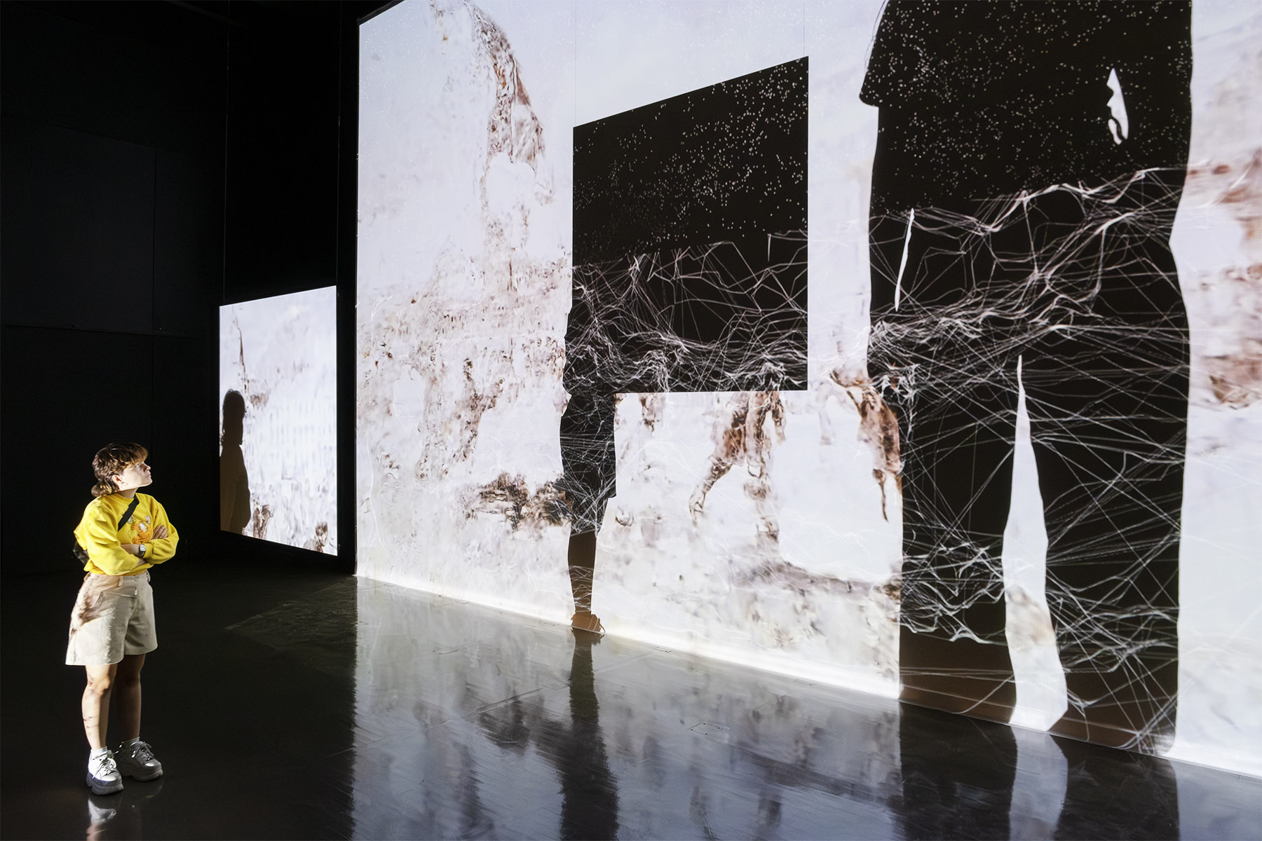 Cartographies Mentales