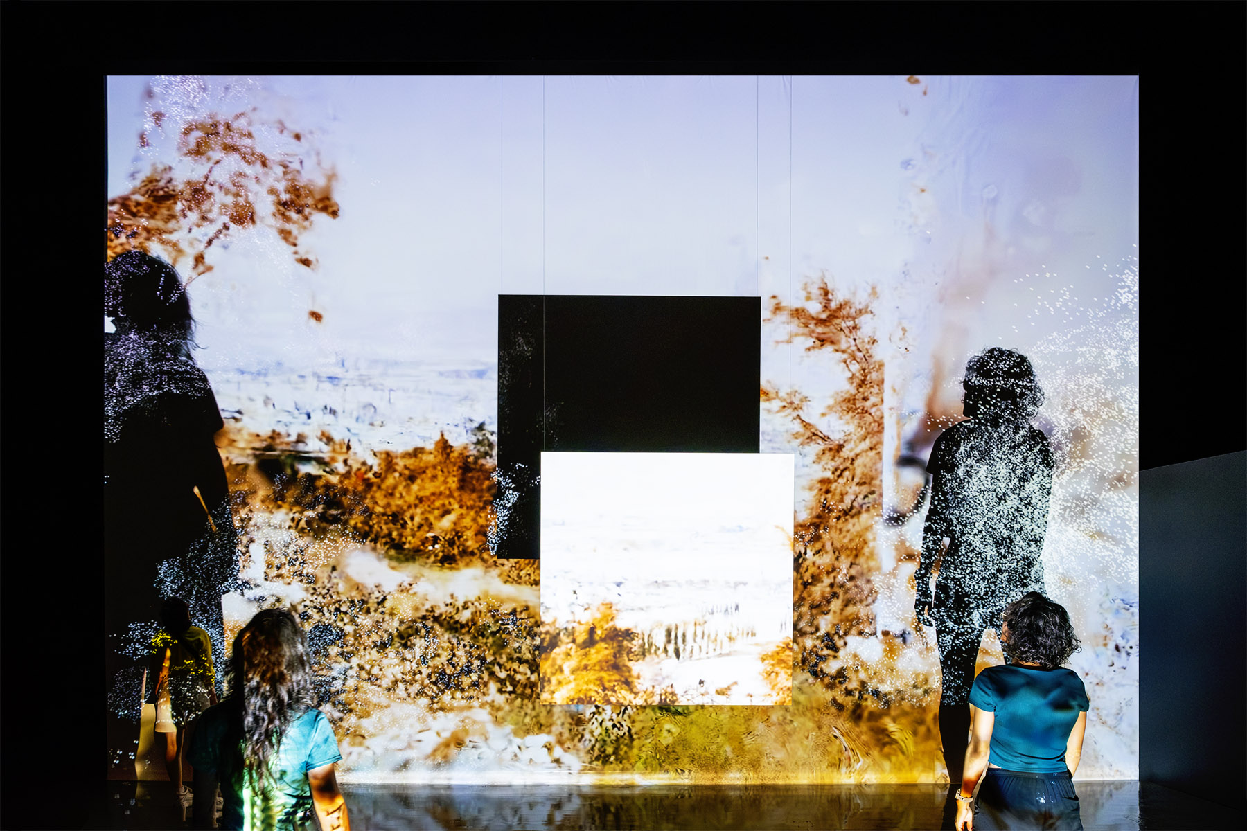 Cartographies Mentales